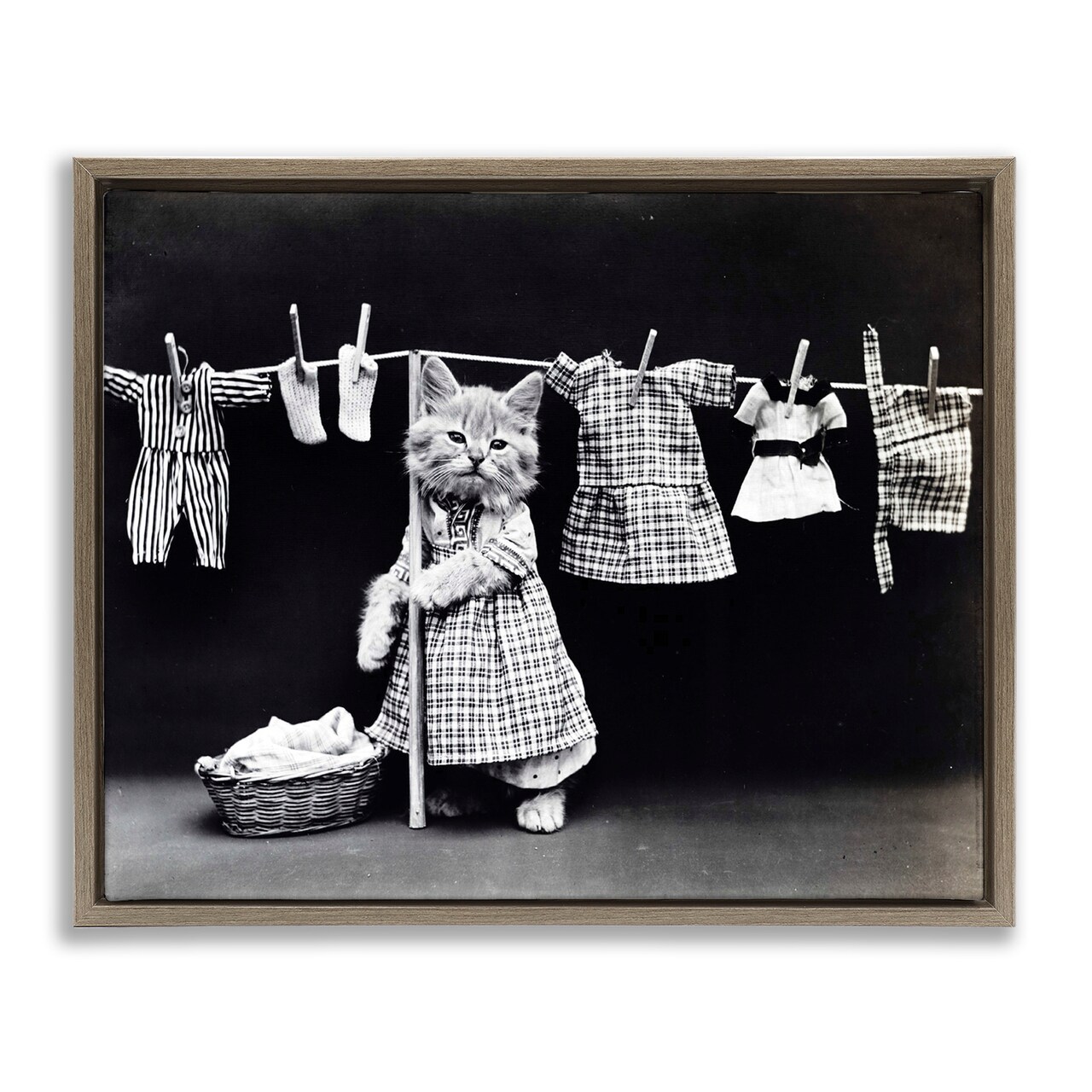 Stupell Industries Kitten Does The Laundry Framed Floater Canvas Wall Art